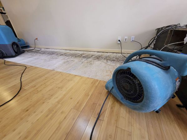 Cost of Water Damage Mitigation in West Jordan