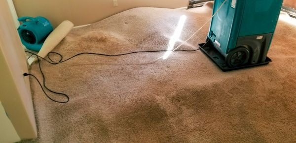 Cost of Flood Damage Cleanup in West Jordan