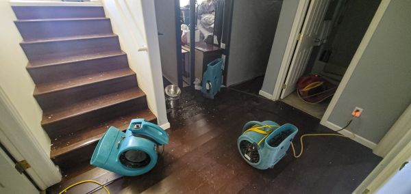 Cost of Water Damage Remediation in West Jordan